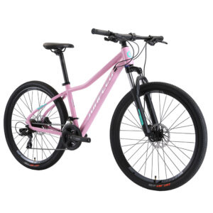 BICICLETA SUNPEED STELLA