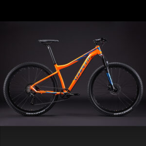 BICICLETA SUNPEED RULE