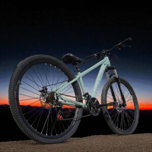 BICICLETA PROLIMIT IRON