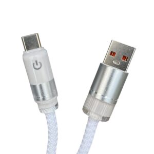 CABLE MALIBU CON LUZ USB - C