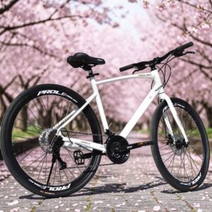 Bicicleta Urbana Prolimit Sport 2